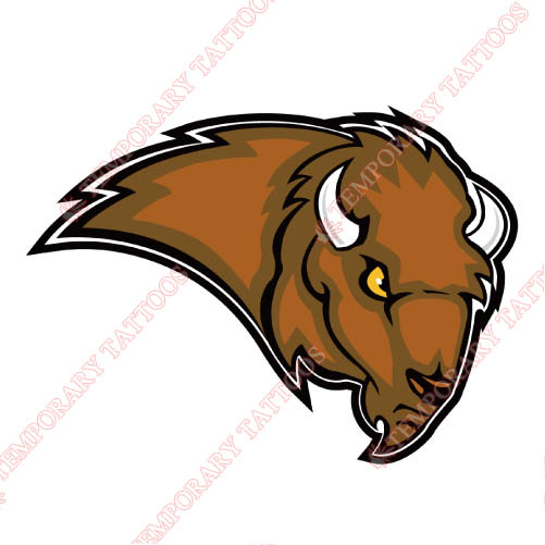 Lipscomb Bisons Customize Temporary Tattoos Stickers NO.4798
